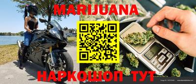 прущие грибы Ставрополь