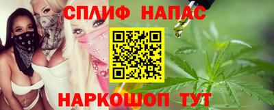 прущие грибы Ставрополь