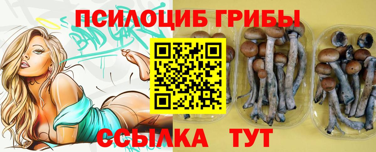 Галлюциногенные грибы GOLDEN TEACHER Отрадное